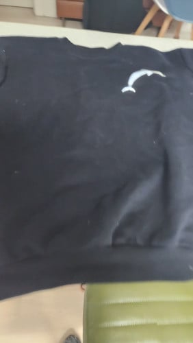 ca8e374fff0d2882ae1fbba5b7d45306_1738287047_3884.jpg