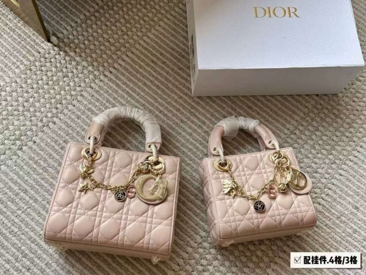 디* 레이디백
