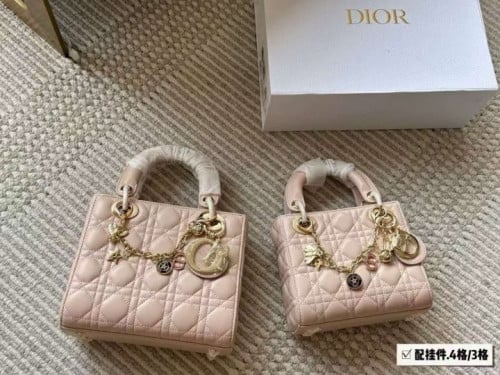디* 레이디백