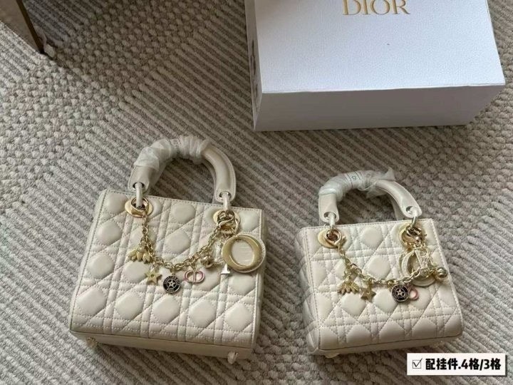 디* 레이디백