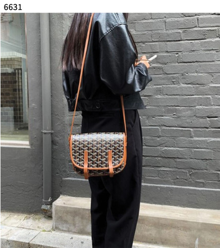 #고야드 [GOYARD] Goyard Belvedere pm 세일💢💢💢 #가방 #6631