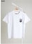 🔆 [STUSSY] 스투시 에잇 볼 숏 슬리브 그래픽 티셔츠 & 3부 테리 팬츠 셋 🔆