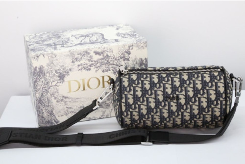 디올 오블리크 룰러 메신져백