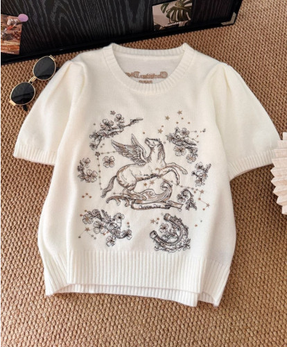 💕 디* 페가수스 자수 니트 반팔티 - 수입